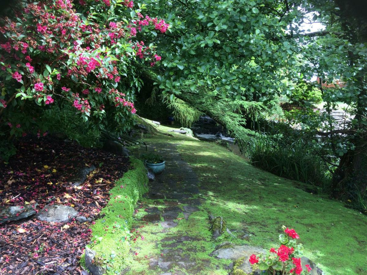 Yr Hen Felin - The Old Mill B&B Morfa Nefyn Exterior foto